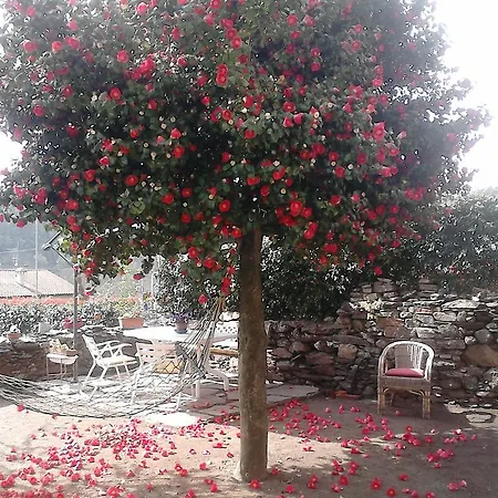 Il Castello Maggiore Con Terrazza