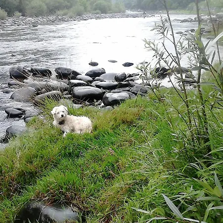 Il Castello Maggiore Con Terrazza