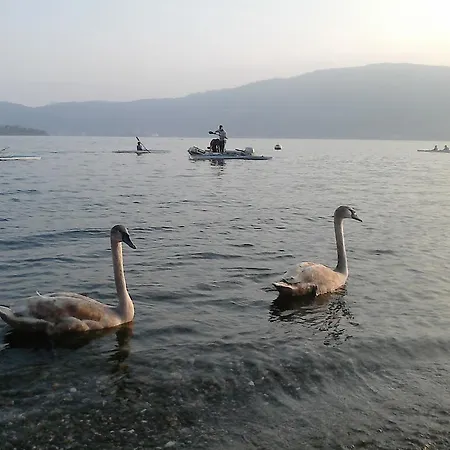 Bed & Breakfast Il Castello Maggiore Con Terrazza 3*