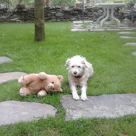 Bed & Breakfast Il Castello Maggiore Con Terrazza Cossogno